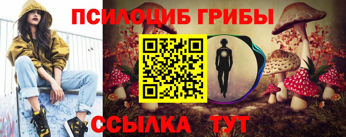 Донской  Галлюциногенные грибы GOLDEN TEACHER  Вход с VPN 