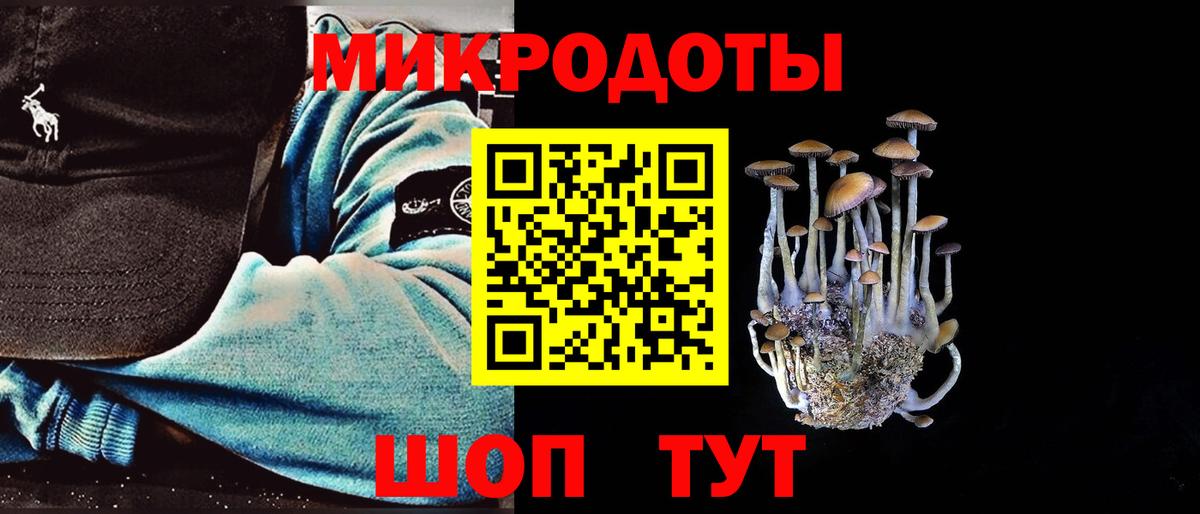 Псилоцибиновые грибы MAGIC MUSHROOMS Донской